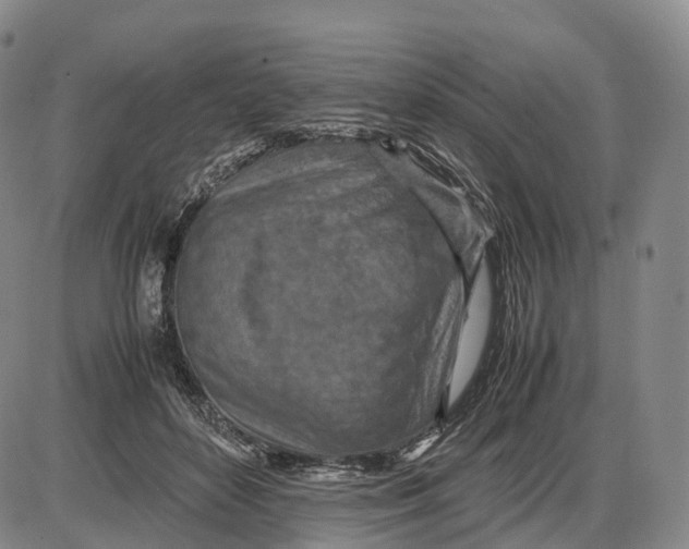 X0000085010504200703261158