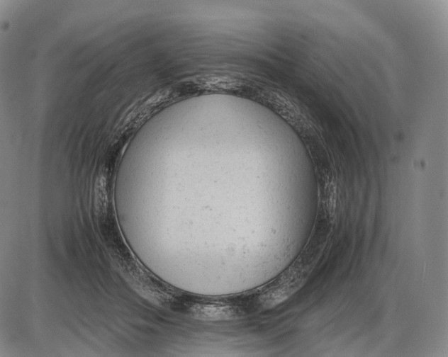 X0000085010506200703261158