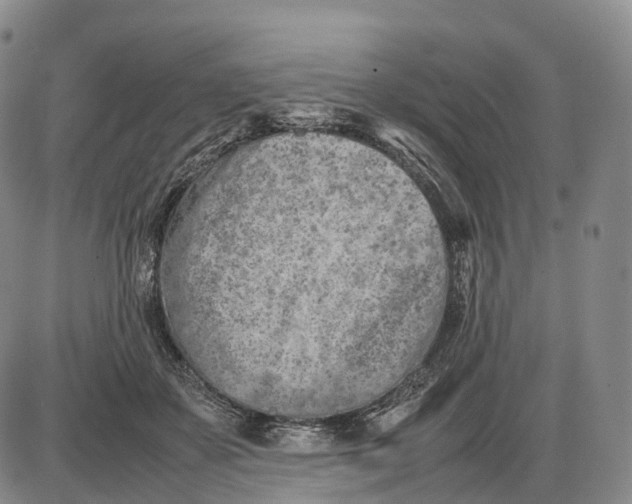 X0000085010507200703261158