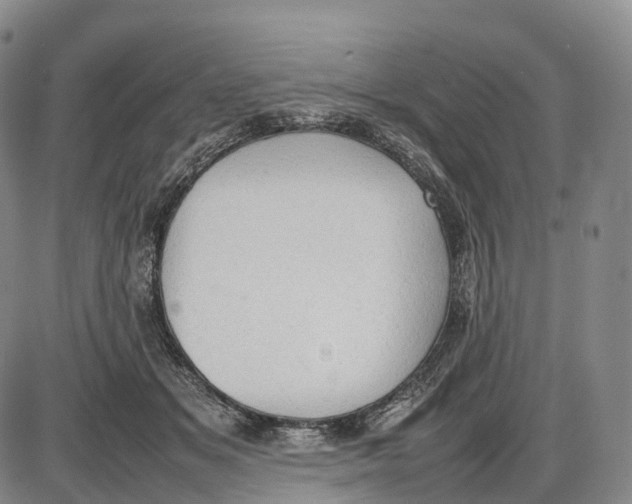 X0000085010509200703261158