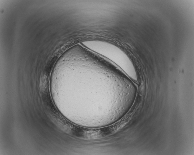 X0000085010511200703261158