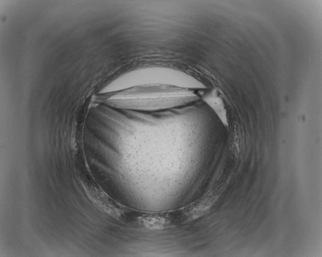 X0000085010512200703261158