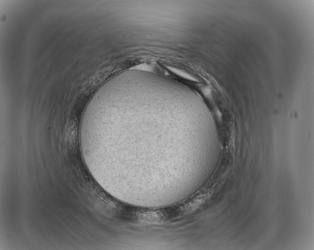 X0000085010513200703261158