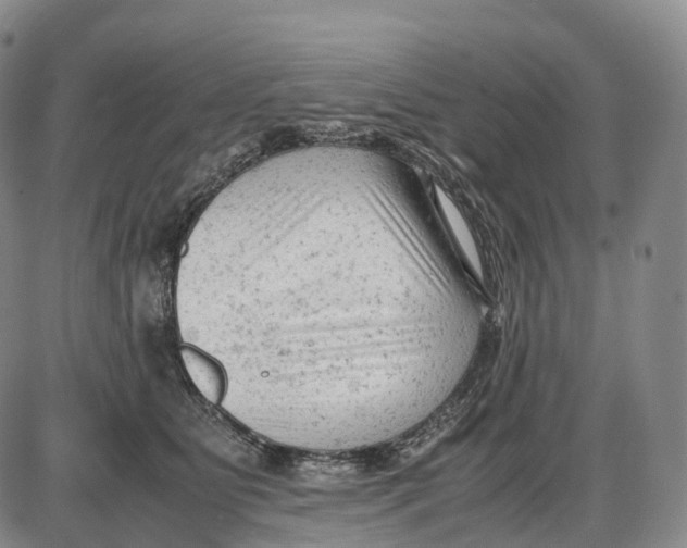 X0000085010515200703261158