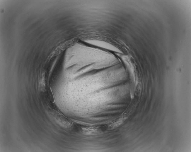 X0000085010516200703261158