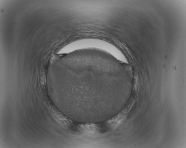 X0000085010517200703261158