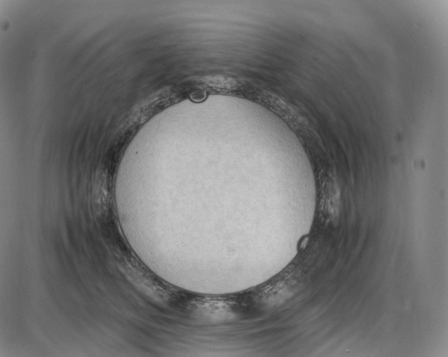 X0000085010518200703261158