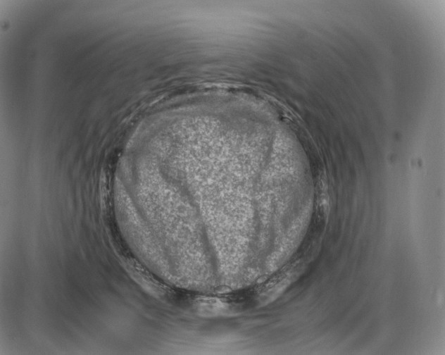 X0000085010519200703261158