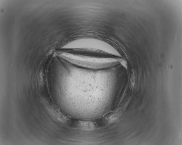 X0000085010520200703261158