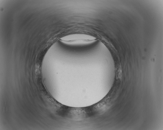 X0000085010521200703261158