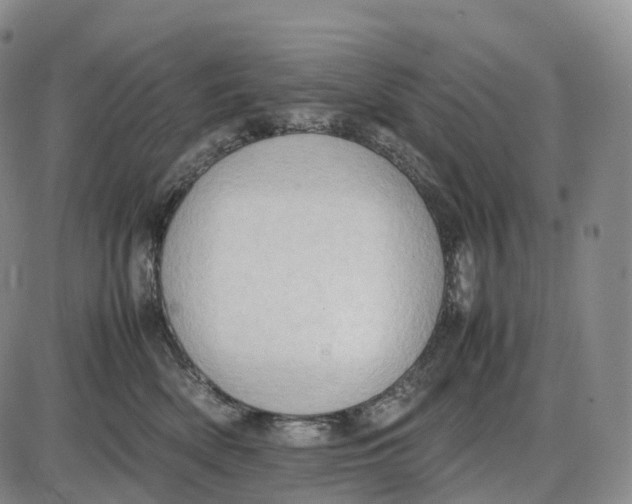 X0000085010522200703261158