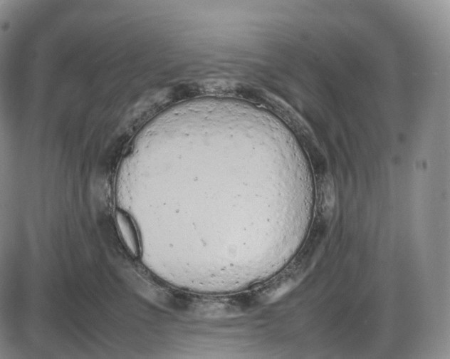 X0000085010523200703261158