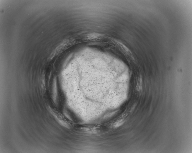 X0000085010524200703261158