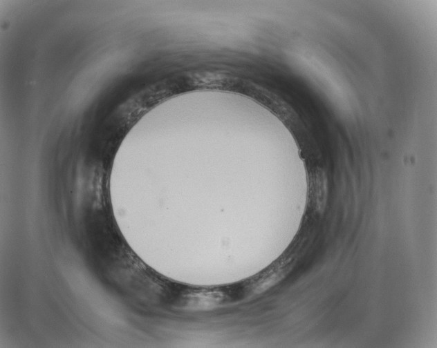 X0000085010525200703261158