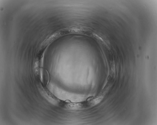 X0000085010526200703261158