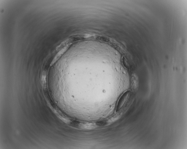 X0000085010527200703261158