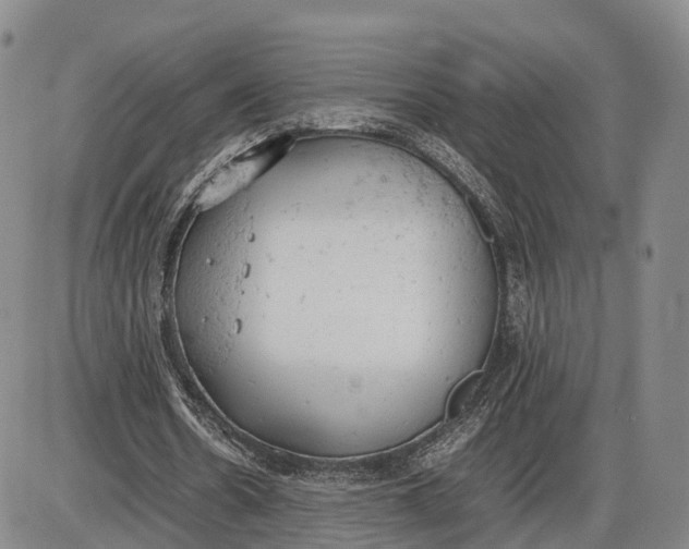 X0000085010530200703261157