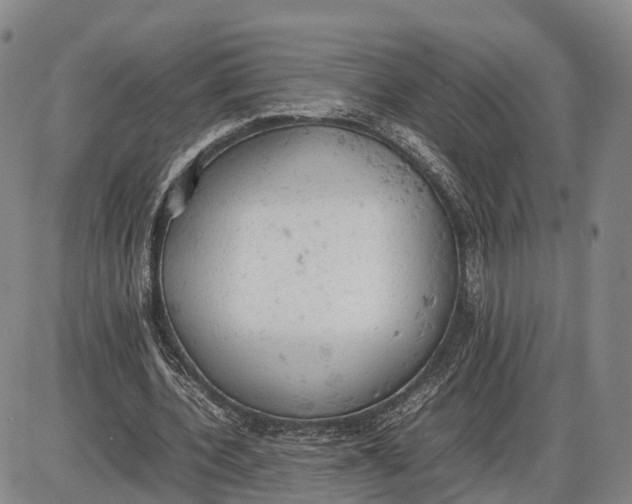 X0000085010532200703261157