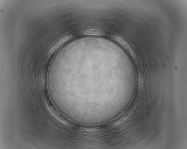 X0000085010533200703261157