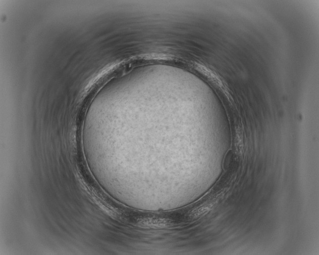 X0000085010535200703261157