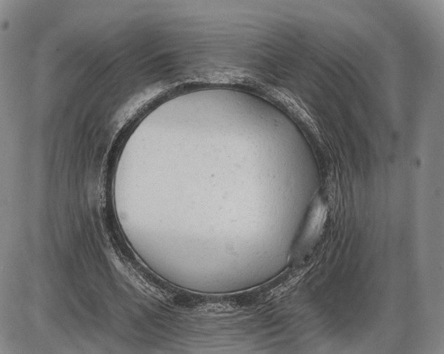 X0000085010536200703261157