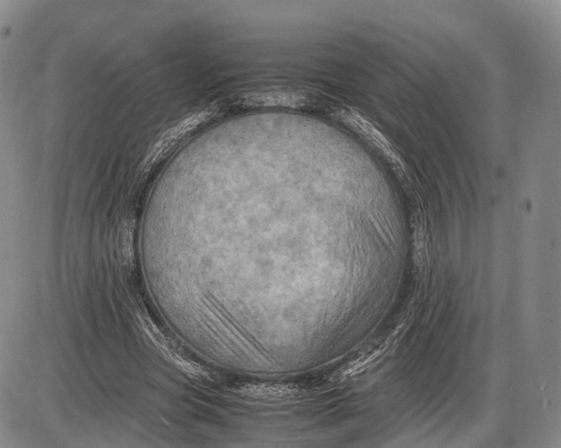 X0000085010537200703261157