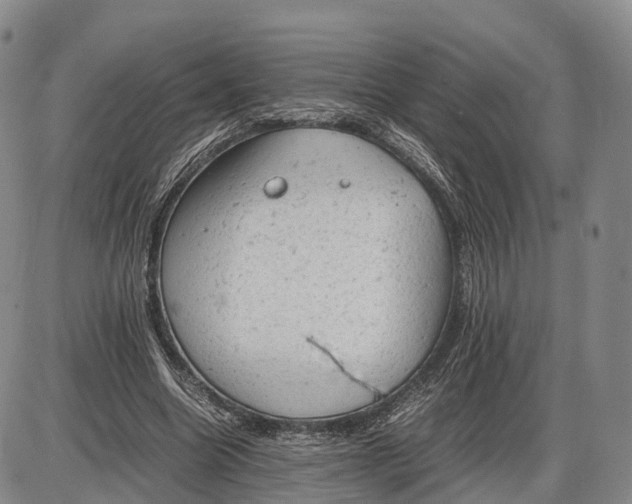 X0000085010538200703261157