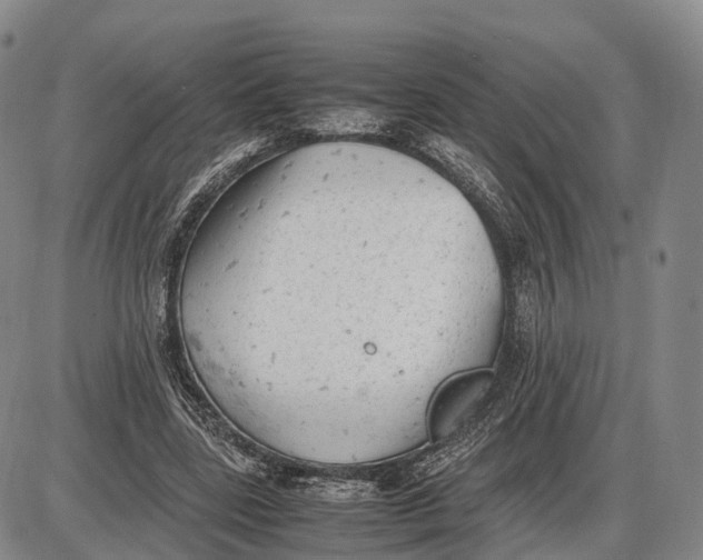 X0000085010539200703261157