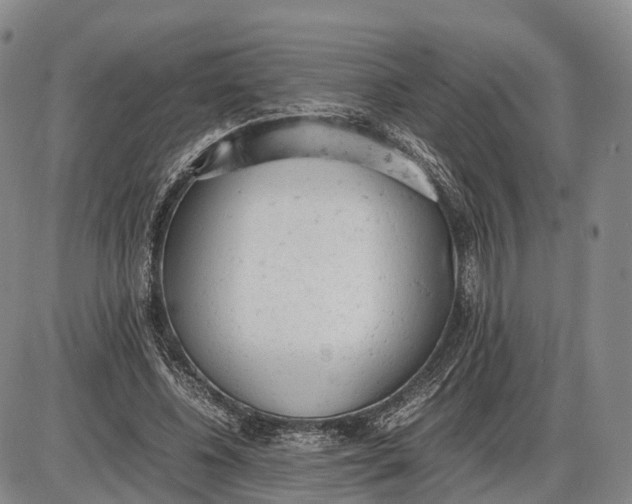 X0000085010540200703261157