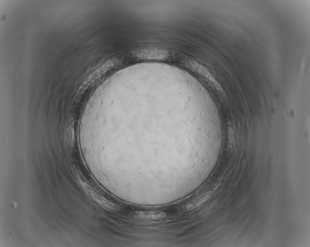 X0000085010541200703261157