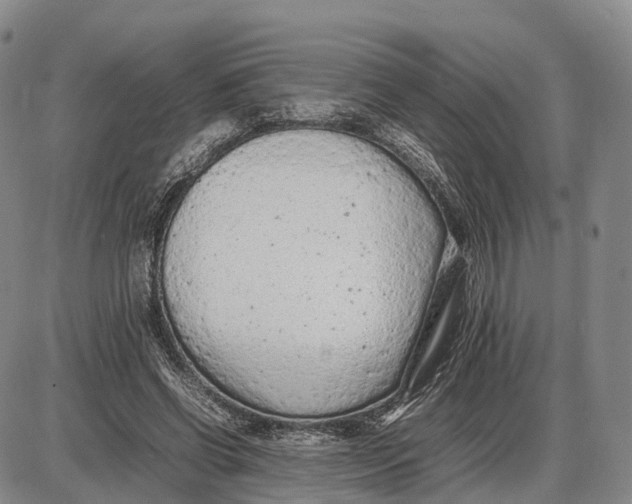 X0000085010542200703261157