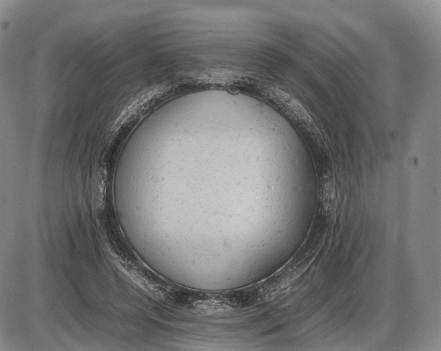 X0000085010544200703261157