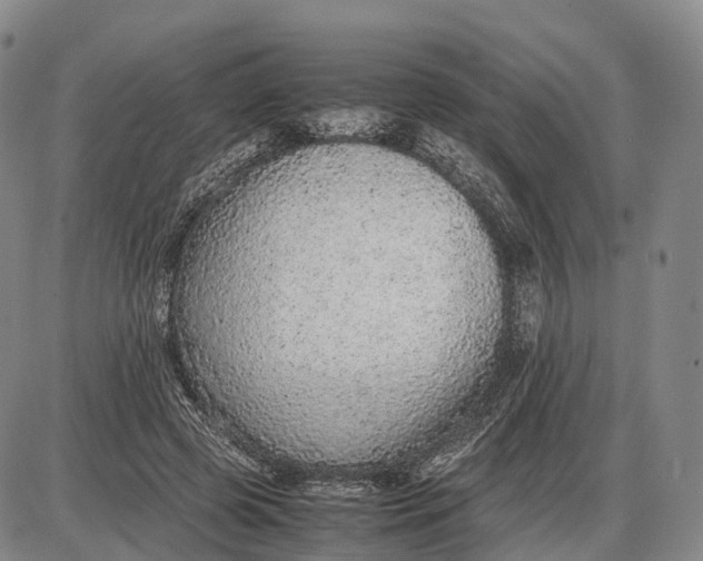 X0000085010545200703261157