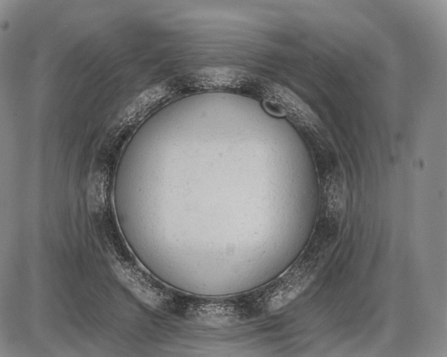 X0000085010546200703261157