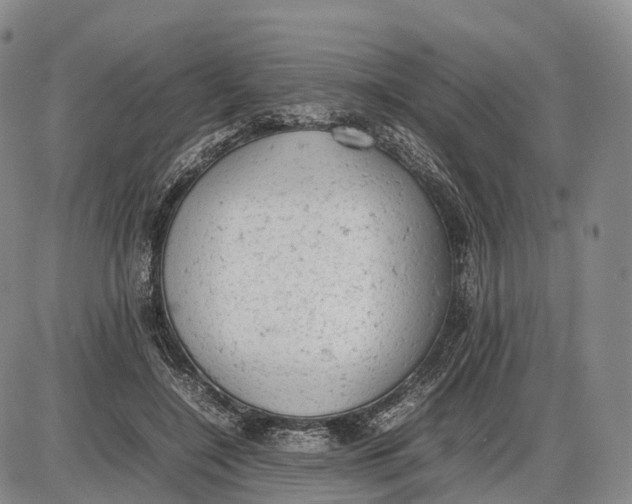 X0000085010548200703261157