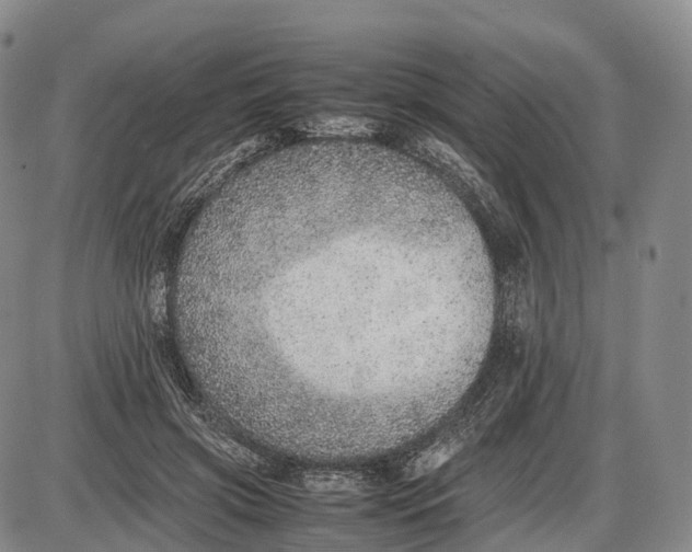 X0000085010549200703261157