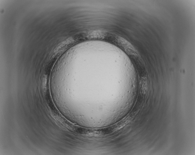 X0000085010550200703261157