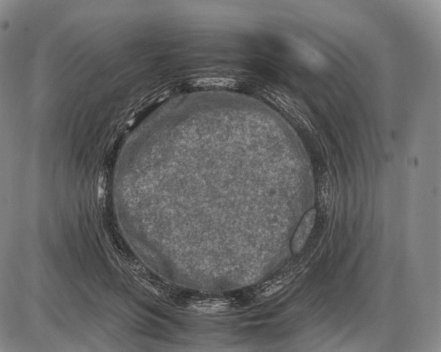 X0000085010551200703261157