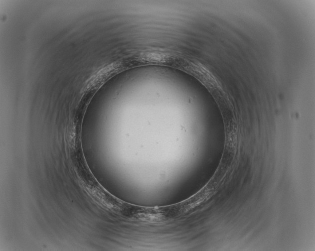 X0000085010552200703261157