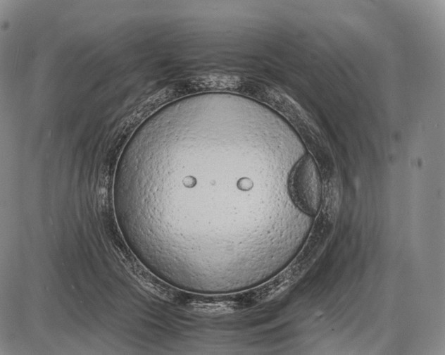 X0000085010553200703261157