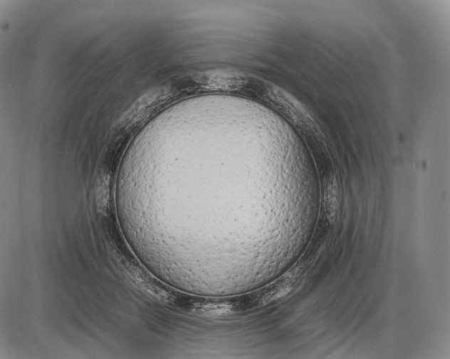 X0000085010554200703261157