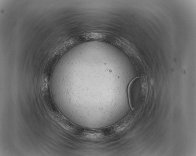 X0000085010555200703261157