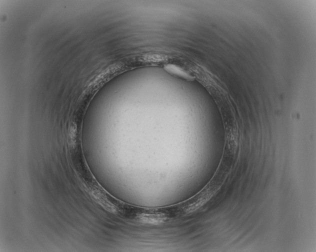 X0000085010556200703261157