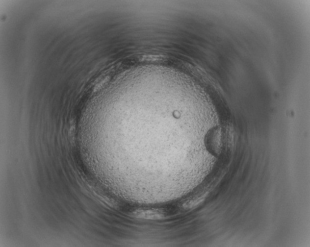 X0000085010557200703261157