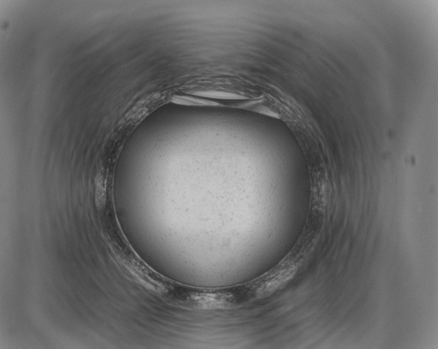 X0000085010558200703261157