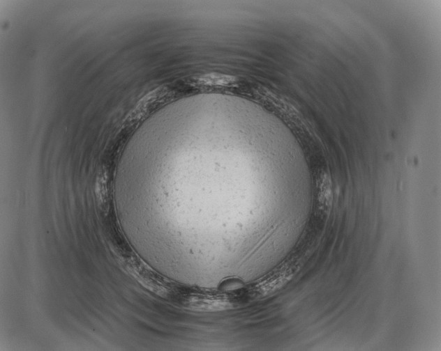 X0000085010559200703261158