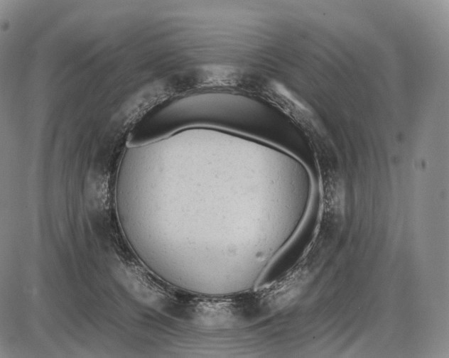 X0000085010560200703261158