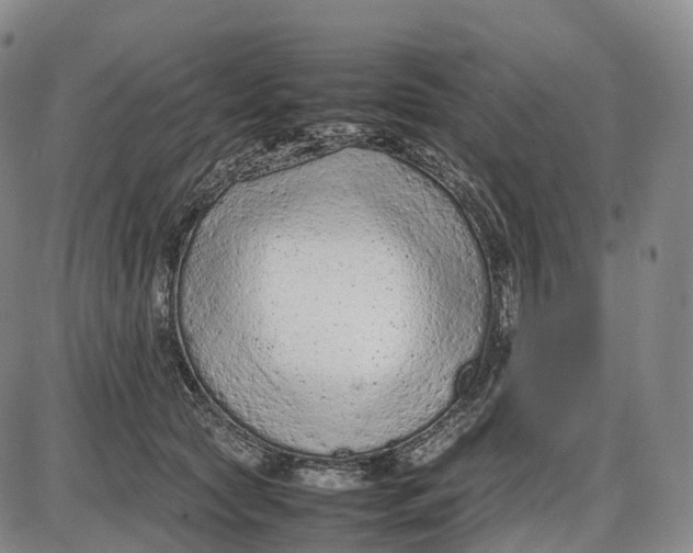 X0000085010561200703261158