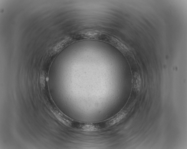 X0000085010562200703261158