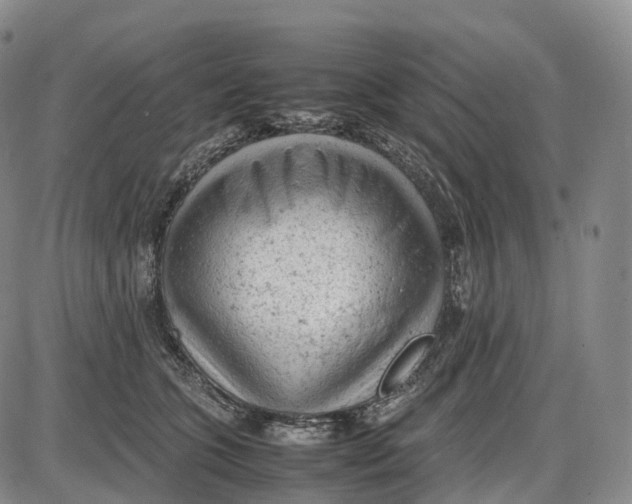 X0000085010563200703261158